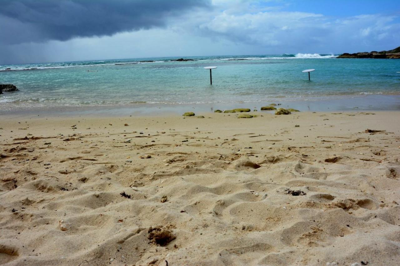 Studio Manganao Saint Francois Piscine & Plage Aparthotel Buitenkant foto